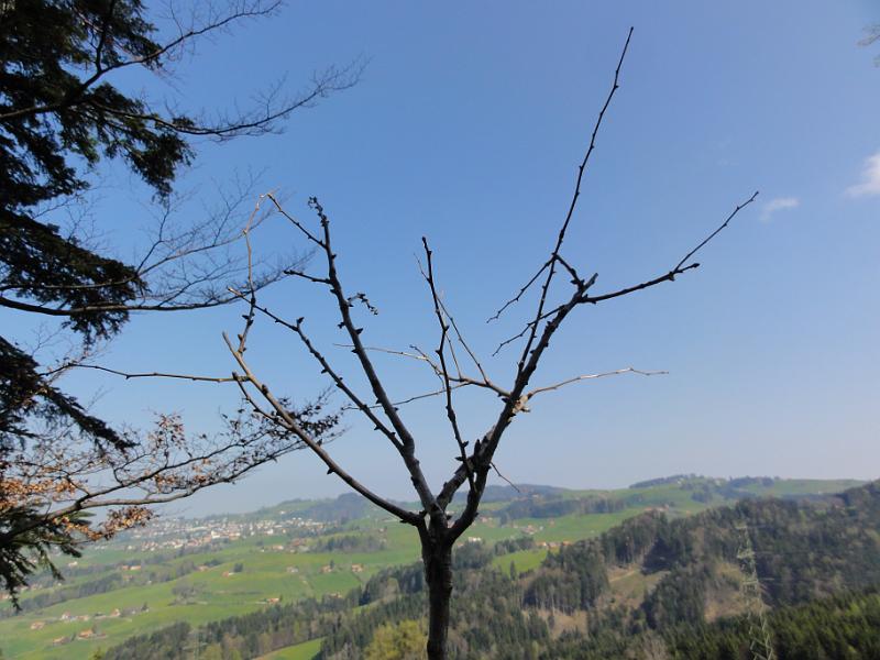 2011 04 17 A